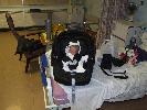 Thumbnail image of 2007_01180004.JPG
