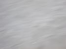 Thumbnail image of DSCF1796.JPG
