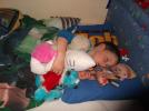 Thumbnail image of Adam Sleeping