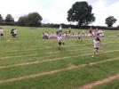 Thumbnail image of DSCF1871.JPG