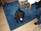 Thumbnail image of 2007_01180014.JPG