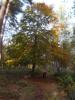 Thumbnail image of DSCF2284.JPG