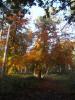 Thumbnail image of DSCF2289.JPG