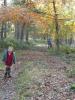 Thumbnail image of DSCF2292.JPG