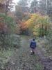Thumbnail image of DSCF2298.JPG
