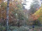 Thumbnail image of DSCF2299.JPG