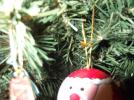 Thumbnail image of DSCF2492.JPG