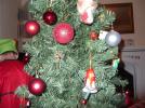 Thumbnail image of DSCF2500.JPG