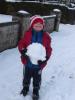 Thumbnail image of DSCF2626.JPG