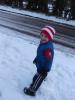 Thumbnail image of DSCF2632.JPG