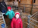 Thumbnail image of DSCF2672.JPG