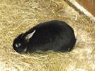 Thumbnail image of DSCF2685.JPG