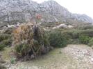 Thumbnail image of DSCF2766.JPG