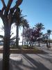 Thumbnail image of DSCF2797.JPG