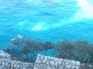 Thumbnail image of DSCF2914.JPG