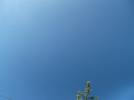 Thumbnail image of DSCF3219.JPG