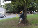 Thumbnail image of DSCF3290.JPG