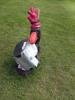 Thumbnail image of DSCF3298.JPG