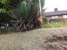 Thumbnail image of DSCF3346.JPG