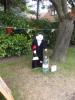 Thumbnail image of DSCF3349.JPG