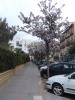 Thumbnail image of DSCF3898.JPG