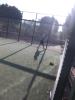 Thumbnail image of DSCF3923.JPG
