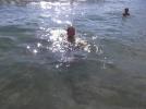 Thumbnail image of DSCF4203.JPG