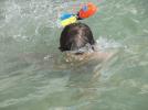 Thumbnail image of DSCF4208.JPG