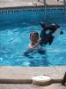 Thumbnail image of DSCF4220.JPG