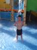 Thumbnail image of DSCF4239.JPG