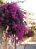 Thumbnail image of DSCF4323.JPG