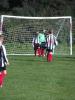 Thumbnail image of DSCF4370.JPG