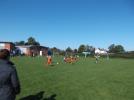 Thumbnail image of DSCF4373.JPG