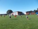 Thumbnail image of DSCF4384.JPG