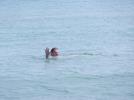 Thumbnail image of DSCF4548.JPG