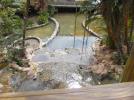 Thumbnail image of DSCF4593.JPG
