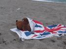 Thumbnail image of DSCF4674.JPG