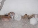 Thumbnail image of DSCF4791.JPG