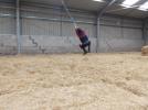 Thumbnail image of DSCF4821.JPG