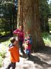 Thumbnail image of DSCF4895.JPG