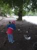 Thumbnail image of DSCF4950.JPG