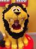 Thumbnail image of DSCF5027.JPG
