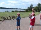 Thumbnail image of DSCF5052.JPG