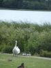 Thumbnail image of DSCF5053.JPG