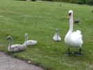 Thumbnail image of DSCF5055.JPG