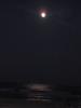 Thumbnail image of DSCF5261.JPG