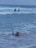 Thumbnail image of DSCF5328.JPG