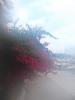 Thumbnail image of DSCF5425.JPG