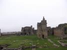Thumbnail image of DSCF5644.JPG