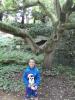 Thumbnail image of DSCF5691.JPG
